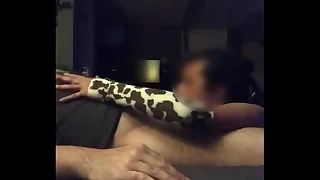 Cow Old bean Sucks Bushwa