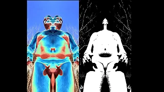 nudist skinny-dipping trickery