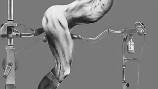 The Art be advantageous to Zamok